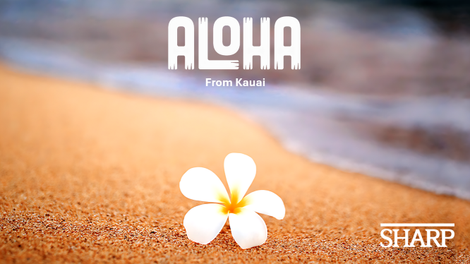 SHC Aloha Primary Care Conference 2026 Banner